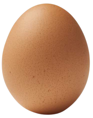 yumurta.png